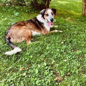 Meet your Posher, Annie